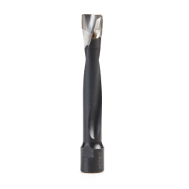 Amana Tool Carbide Bit for Domino DF700, 12mm x 70mm x 90mm 316034