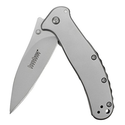 Kershaw 1730SS Zing Pocket Knife; 3" High-Performance 8Cr13MoV SS Blade