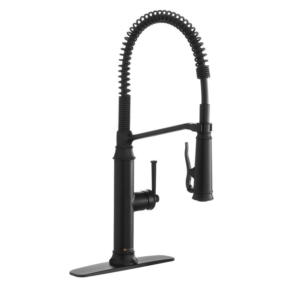 Linscott Single-Handle Coil Springneck Pull-Down Sprayer Kitchen Faucet in Matte Black