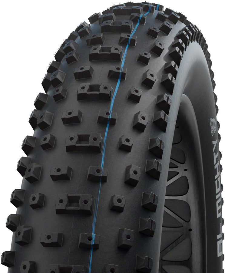 Schwalbe Al Mighty Tire - 26 x 4.8", Tubeless, Folding, Black, Evolution Line, Addix Speed Grip, Super Ground, E-25 11654264