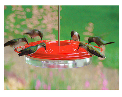 Classic 12 Ounce Hummingbird Feeder With Easy Fill And Clean Design