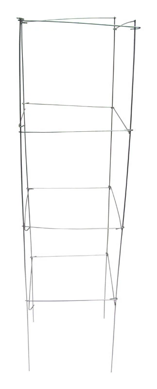 Square Tomato Cage, Galvanized Wire, 42 In.