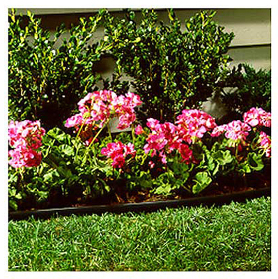 Black Lawn Edging, 60 Feet Long, Durable Flexible Plastic Landscape Border