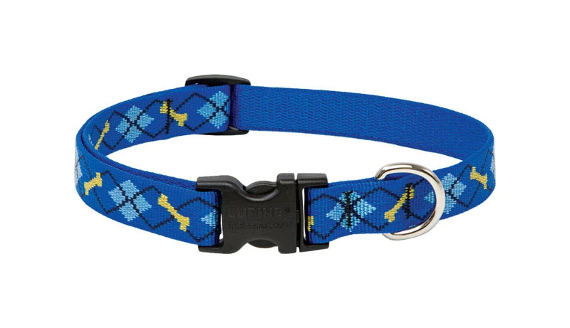 Adjustable Dog Collar By Dapper Dog, 0.75 Inch Width, Fits 13 To 22 Inch Neck
