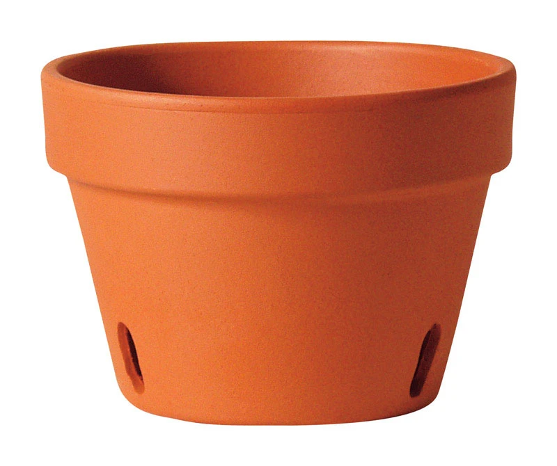 Orchid Pot, Terra Cotta Clay, 8-in.