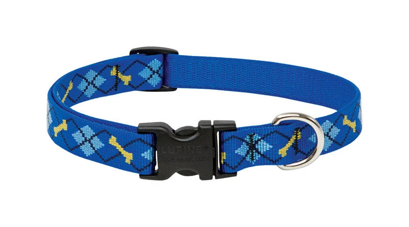 Adjustable Dog Collar By Dapper Dog, 0.75 Inch Width, Fits 9 To 14 Inch Neck