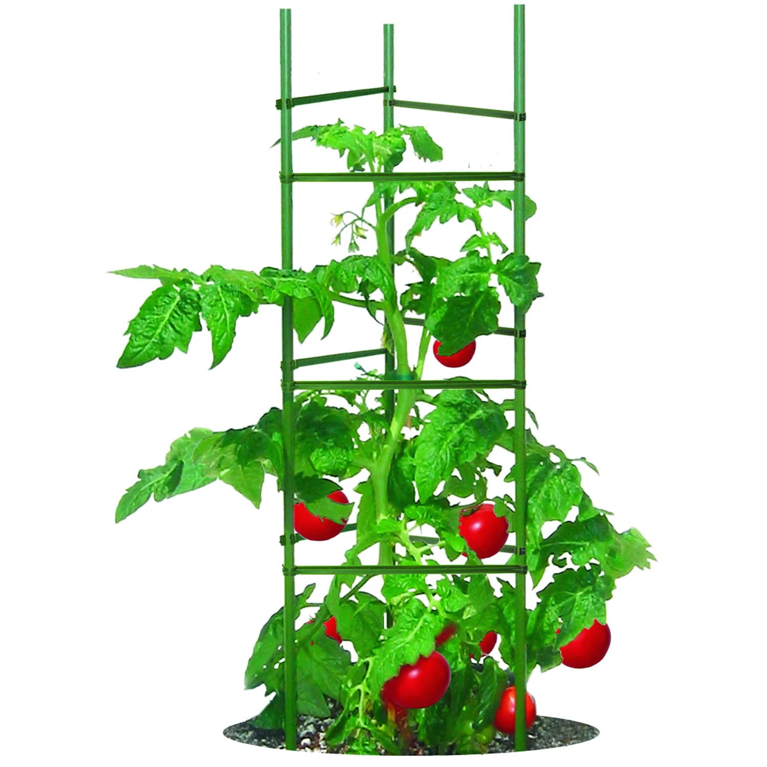 Ultimate Tomato Cage Heavy Duty Steel Plant Support 18 Inch Diameter 36 Inch Height