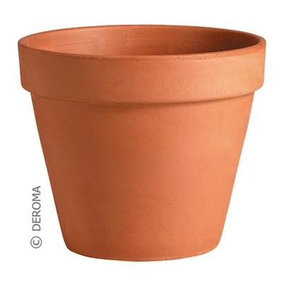 Terra Cotta Pot, Clay, 3 In.