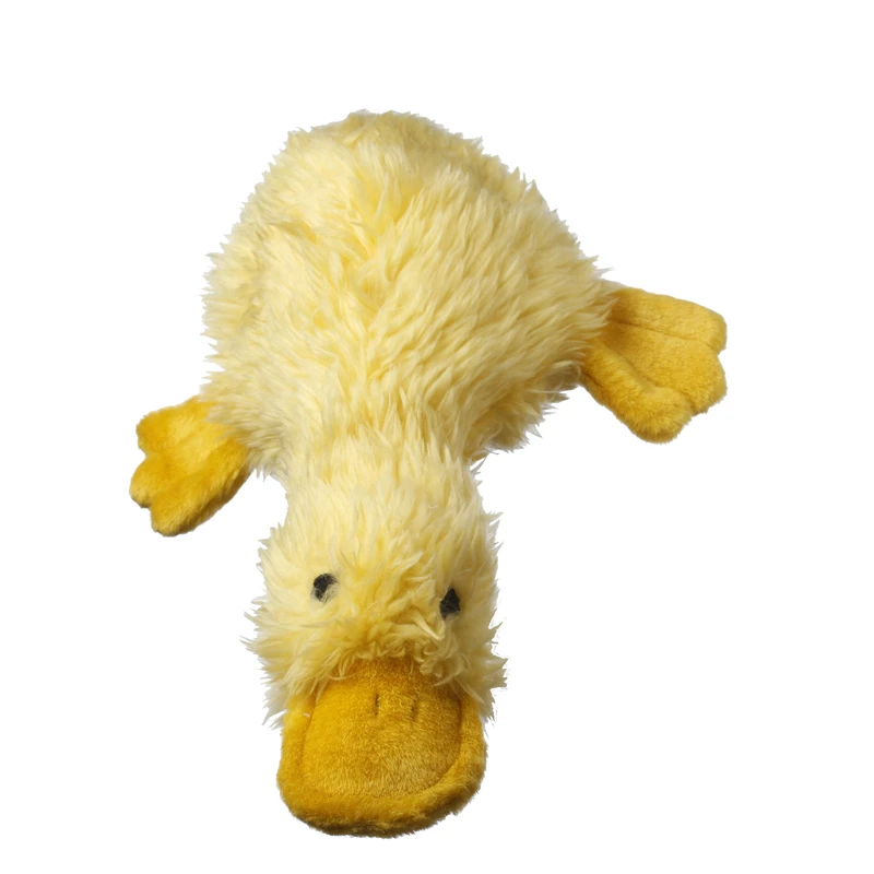Duckworth Webster Squeaky Dog Toy, 13 In.