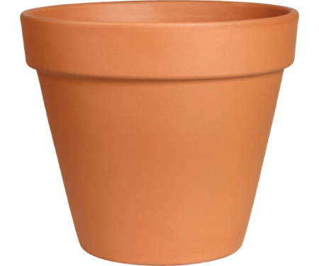 Terra Cotta Clay Pot, 3 In.
