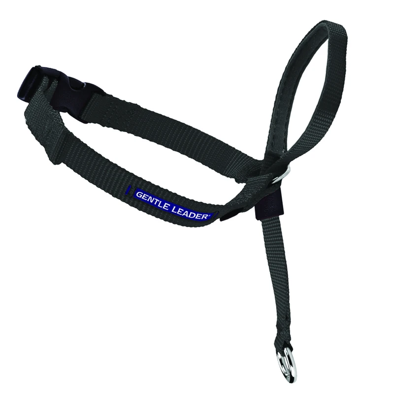 Premier Gentle Leader Headcollar For Medium Dogs, Black Color