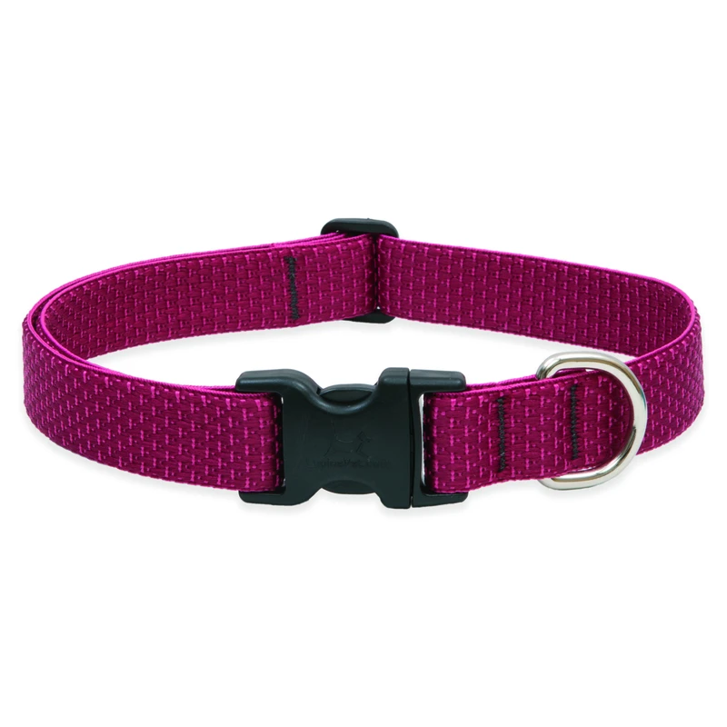 Eco Friendly Adjustable Dog Collar In Berry Color, 1 Inch By 16 To 28 Inches
