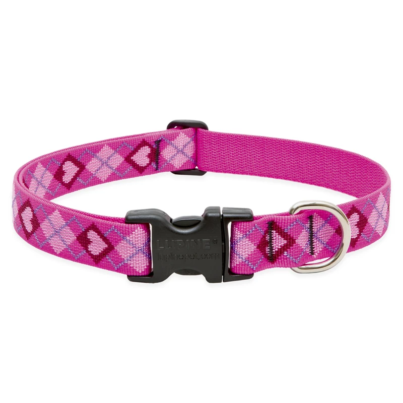Adjustable Puppy Love Dog Collar, 1 Inch Width, Fits 16 To 28 Inch Neck