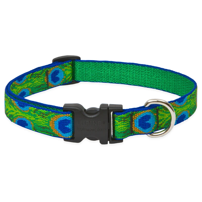 Adjustable Dog Collar With Tail Feather Design, 0.75 Inch Width, Fits 9 To 14 Inch Neck