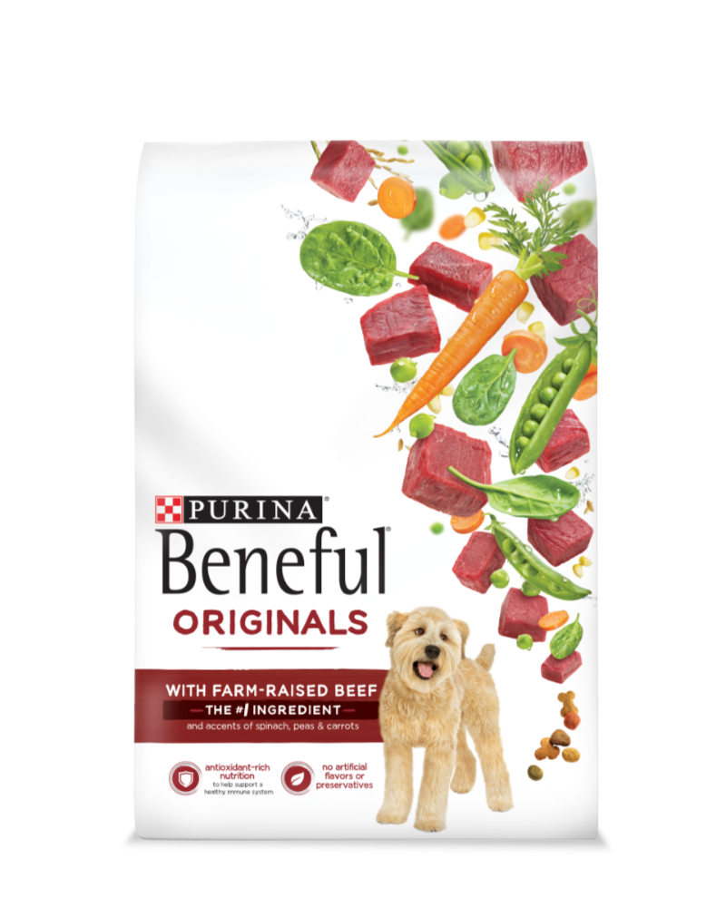 Dry Dog Food With Beef Flavor, 28 Pounds Bag