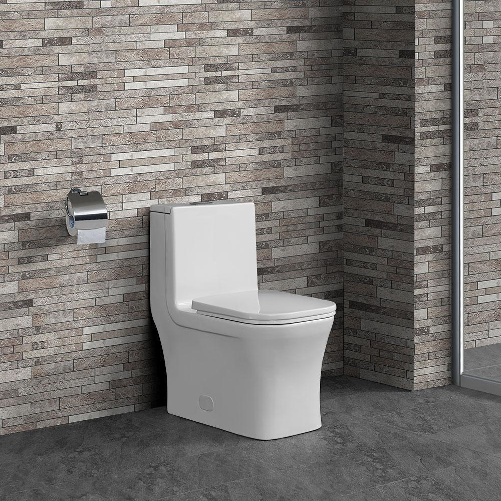 Concorde 1-Piece 0.8/1.28 GPF Dual Flush Square Elongated Toilet in White