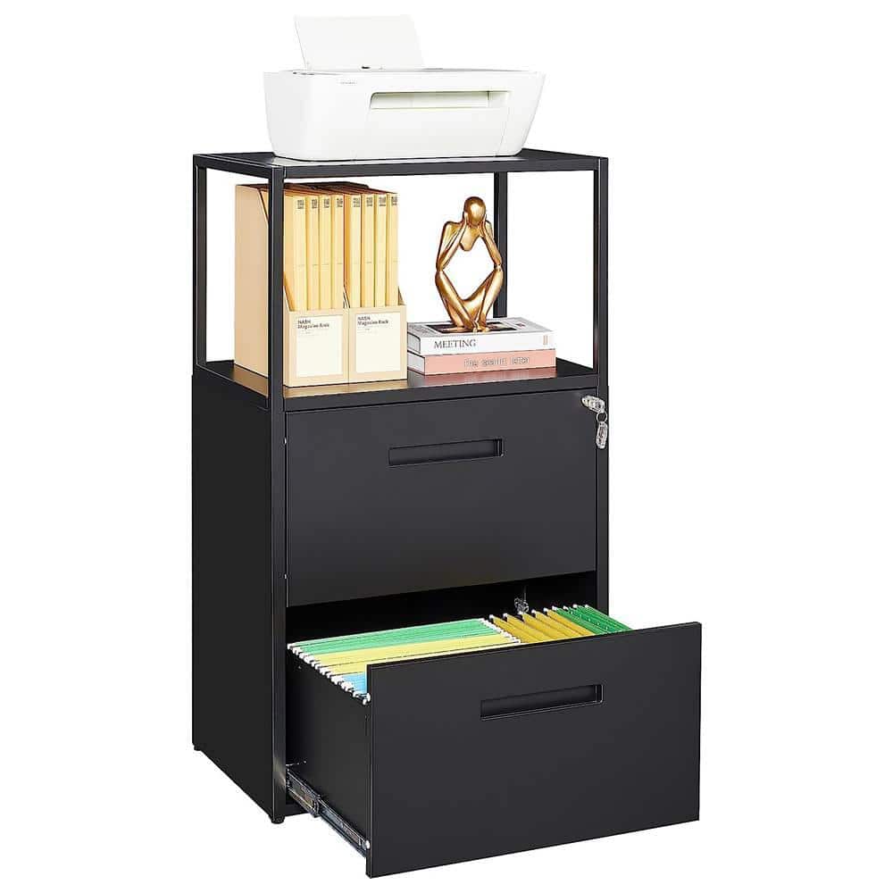 LISSIMO 41.3 in. H x 23.6 in. W x 15.7 in. D Garage Cabinet, 2 Tier Metal File Cabinet with Shelves, 2 Lockable Drawers in Black