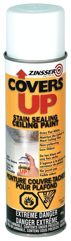 Z03696 CEILING PAINT
